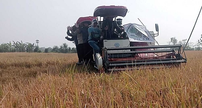 Jaga Ketahanan Pangan, Pemprov Jateng Luncurkan Pilar Jateng di Klaten